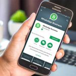 WhatsApp Business: suscripción de pago y otras novedades