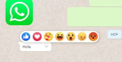 WhatsApp ya habilitó las reacciones a los mensajes